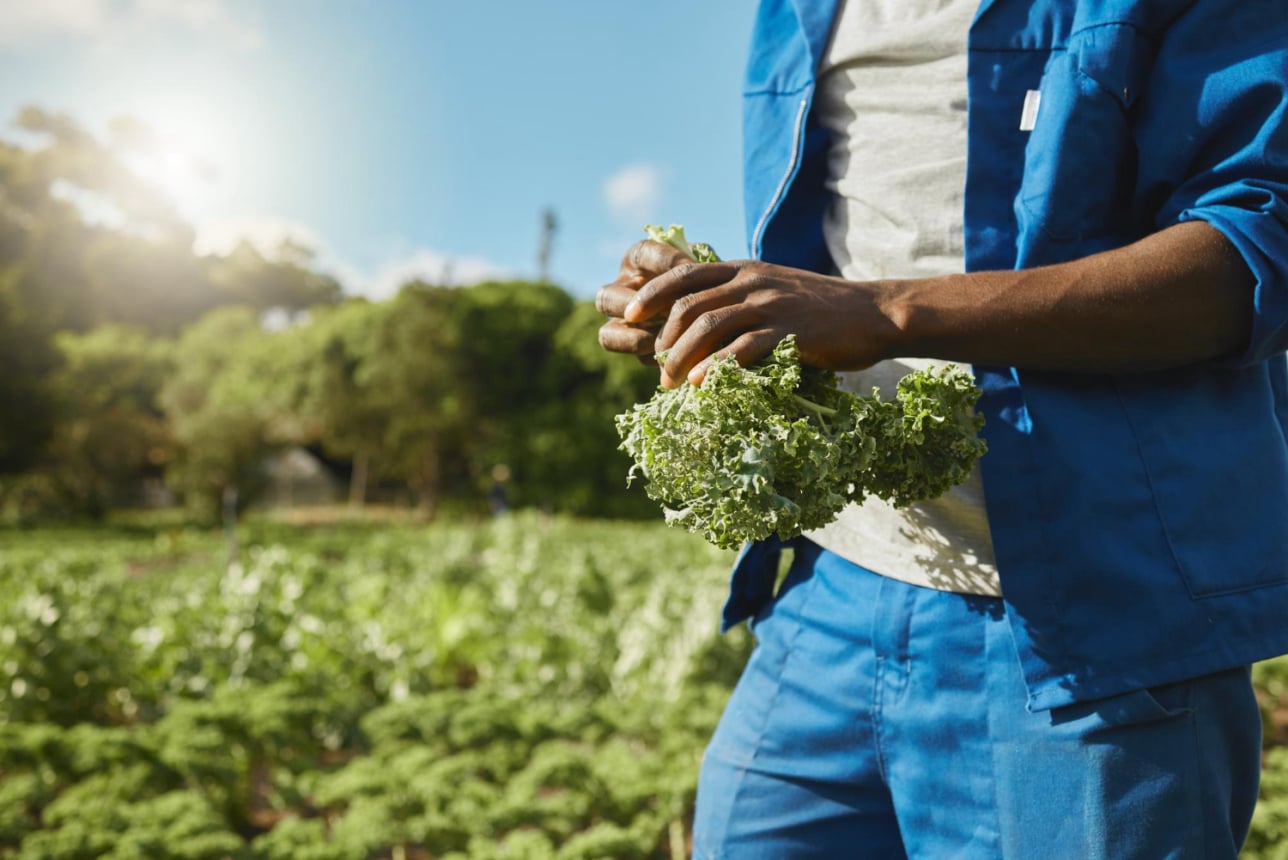 sustainable farming practices